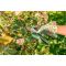 Аккумуляторные ножницы Bosch EasyPrune 06008B2000