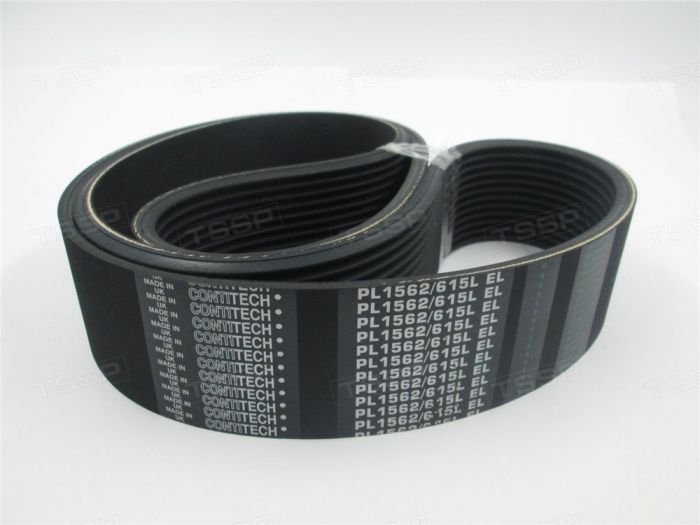 Поликлиновый ремень (12) PL1562  4303126103 Belt POLY-VL-1562-12